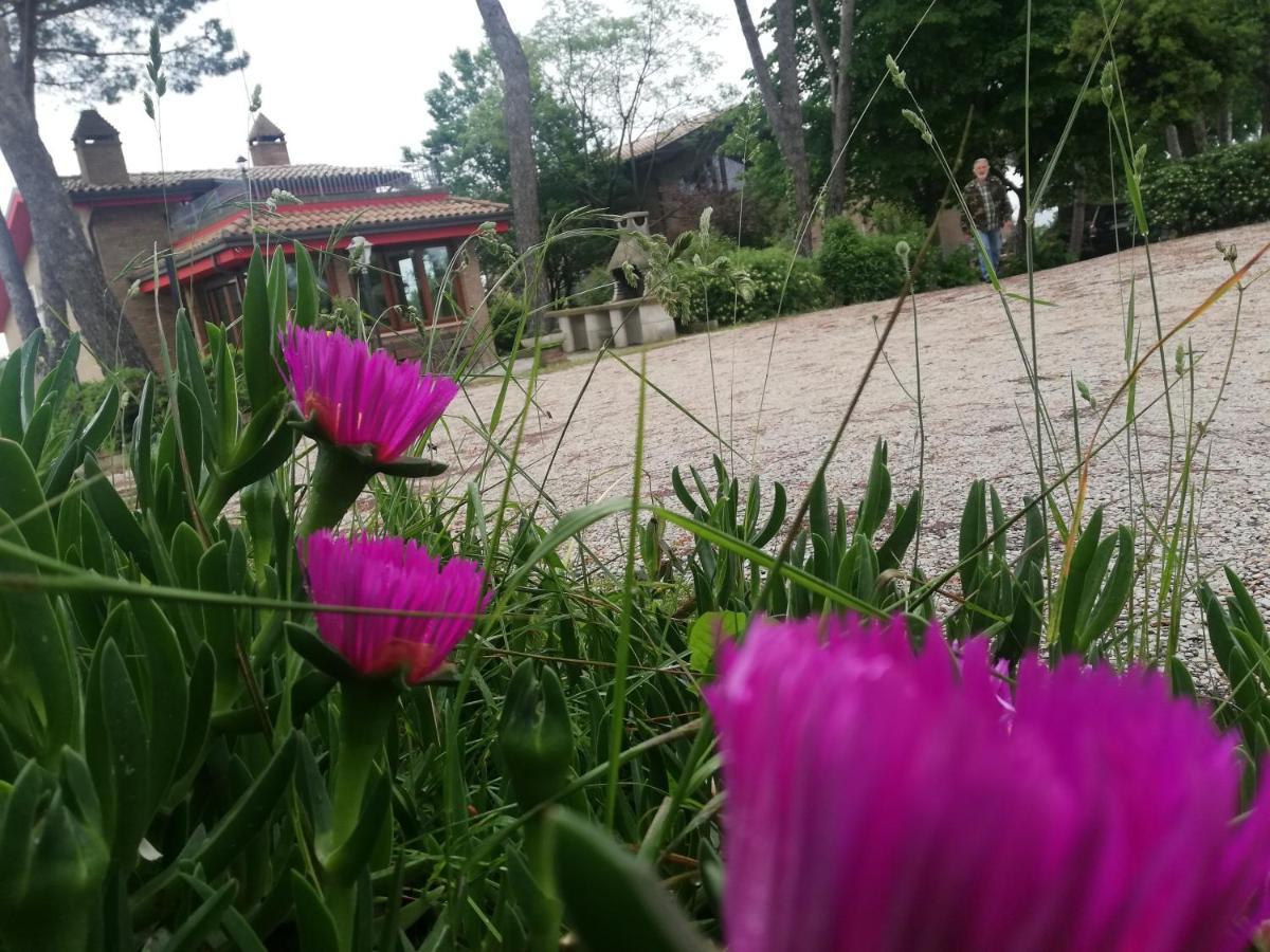 La Casa Nella Prateria Bed & Breakfast Мисано Адриатико Екстериор снимка
